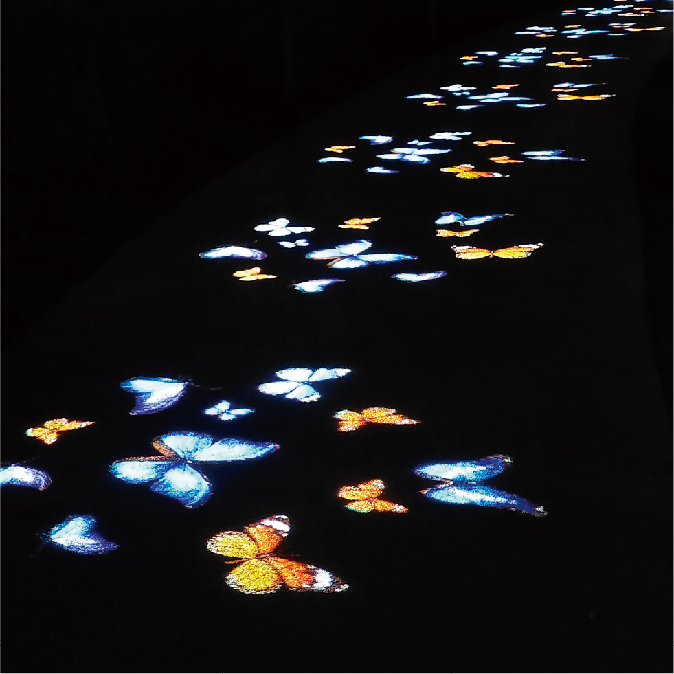 Energy Efficiency of solar street light manufacturers in china