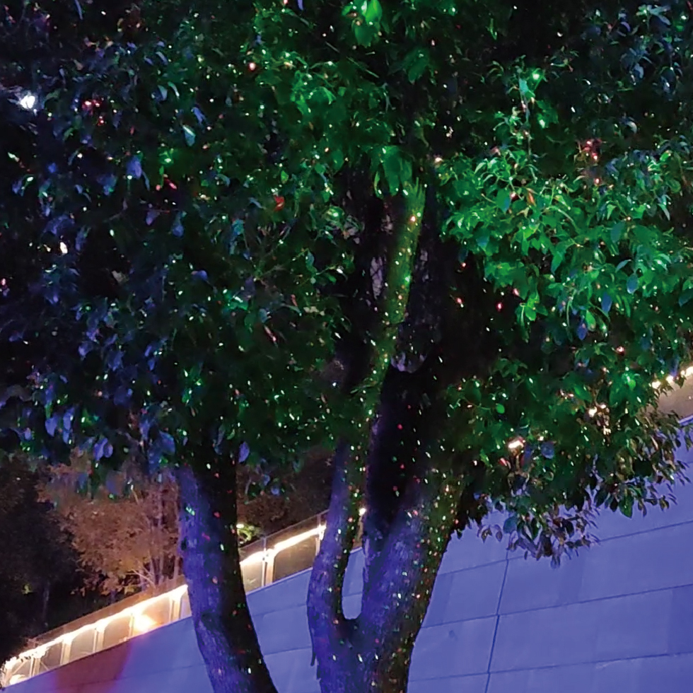 Environmental Impact of street light manufacturers in china